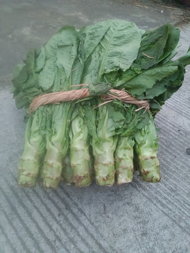 一点红莴笋上市了质量保证赶紧下单。