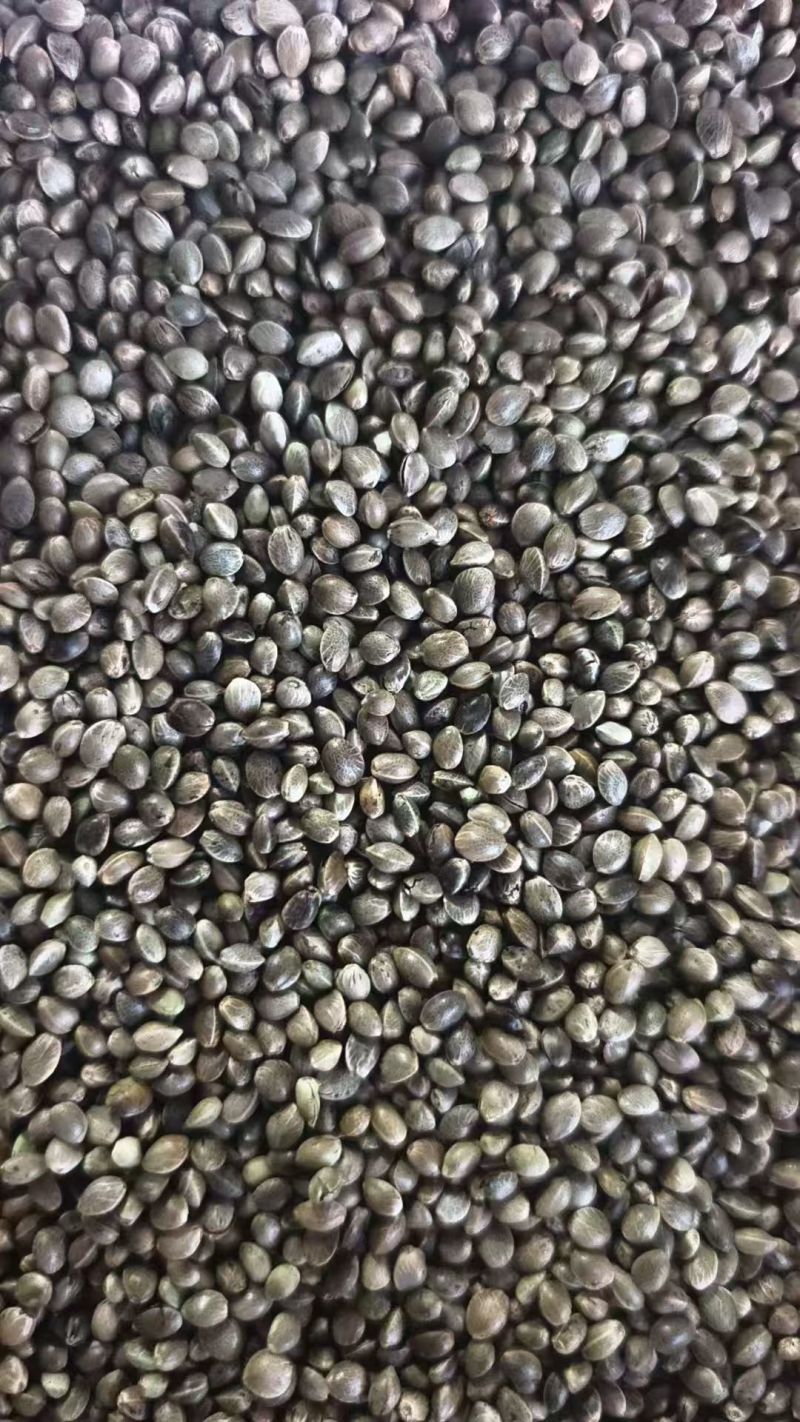 麻子
