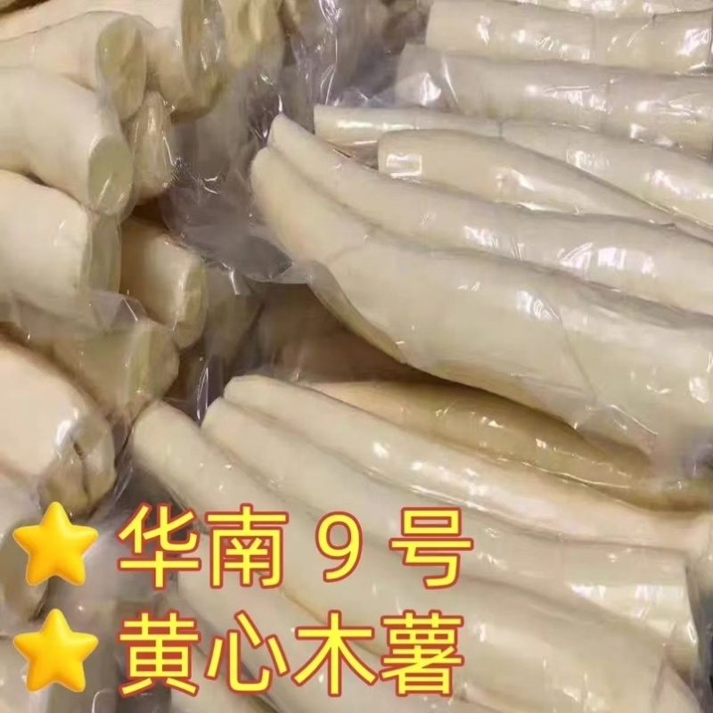 新鲜去皮黄肉木薯现挖剥皮鸡蛋木薯工厂直供