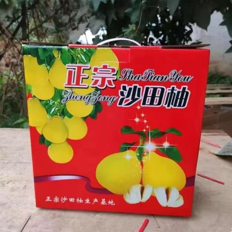 柚子全网优质货源全国包邮