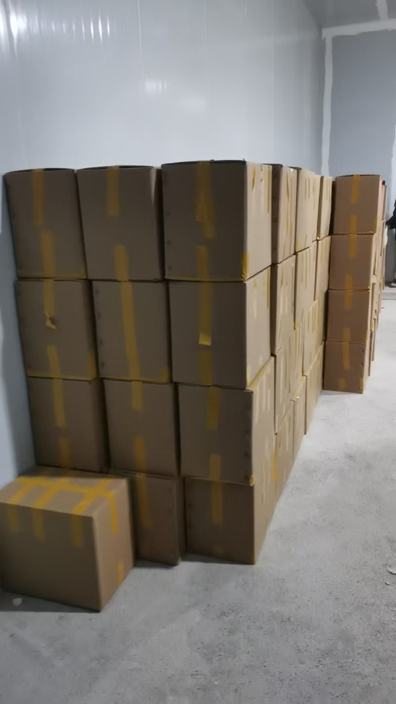 广西冷冻黄心木薯，华南9号整条，切块，去心大量供应