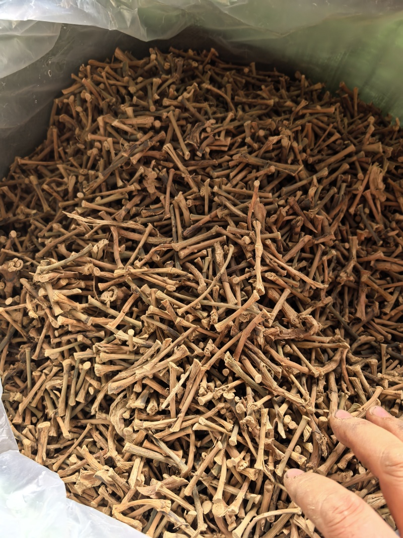 春砂仁根干货，无硫，产地直发，品质保证，欢迎电商合作洽谈