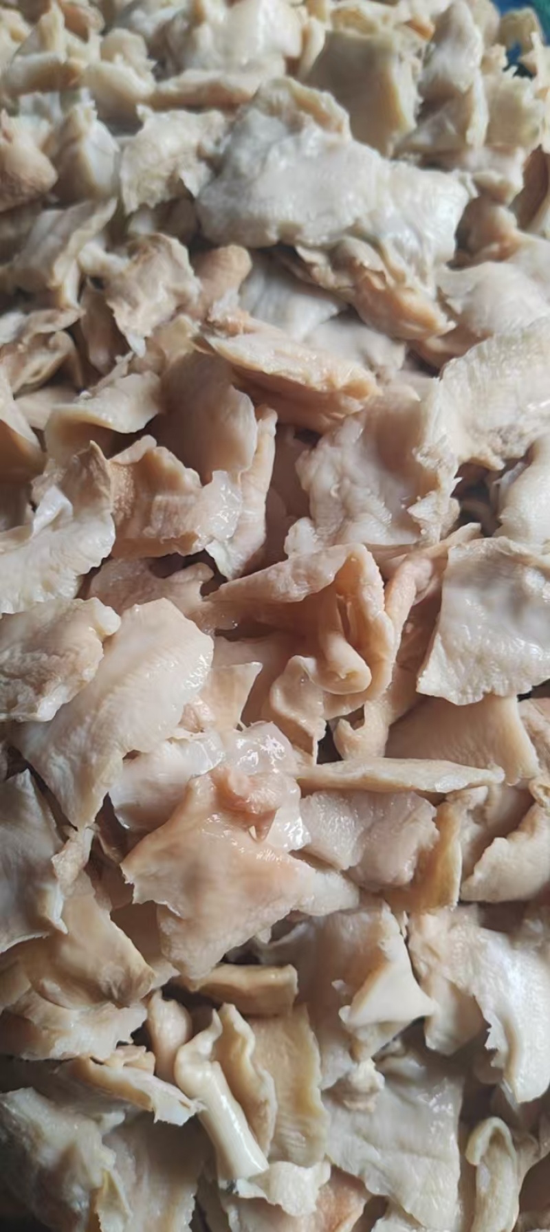 洞庭湖河蚌肉自有工厂可溯源对接电商餐饮团购~支持一件代发