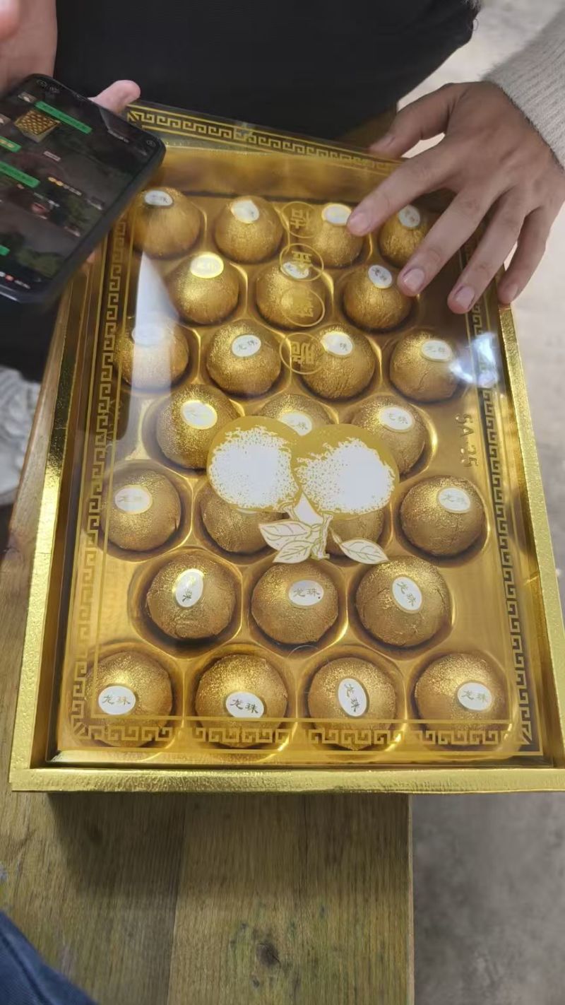 融安金桔开始采摘