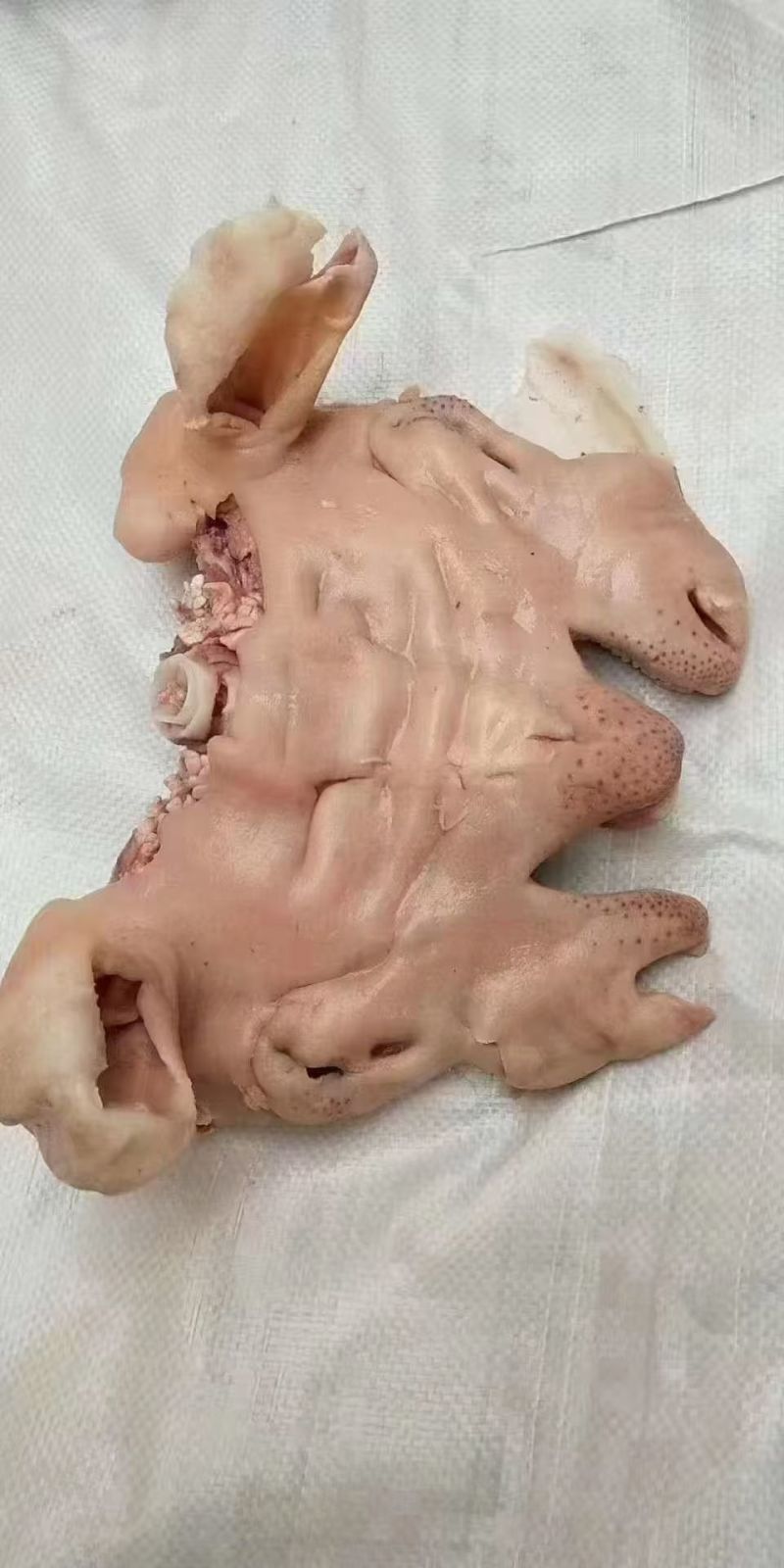 羊脸肉