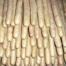 小白嘴山药山药粉糯细腻新鲜应季