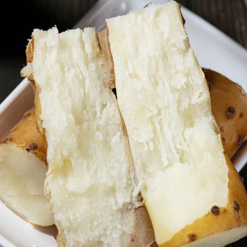 小白嘴山药山药粉糯细腻新鲜应季