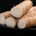 小白嘴山药山药粉糯细腻新鲜应季