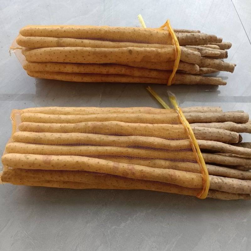 新鲜小白嘴山药小白嘴淮山新鲜蔬菜整箱批发