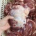 【牛大脸肉-求合作】批发50斤牛大脸肉