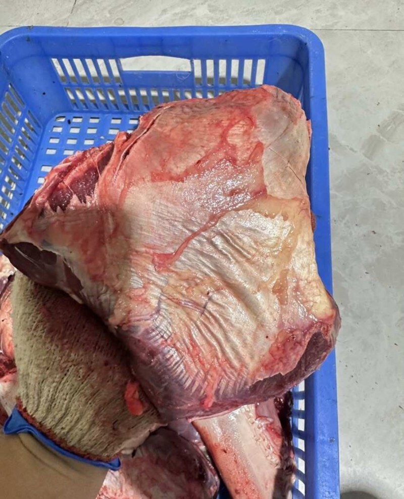 【牛大脸肉-求合作】批发50斤牛大脸肉