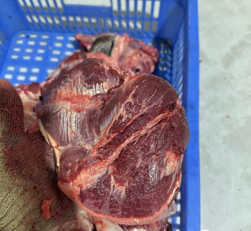 【牛大脸肉-求合作】批发50斤牛大脸肉