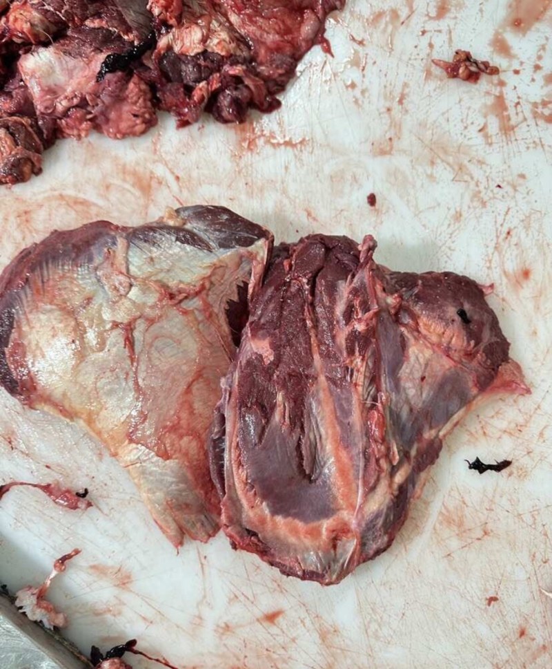 【牛大脸肉-求合作】批发50斤牛大脸肉