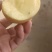 土豆精品荷兰十五土豆现挖现发产地直供一手货源