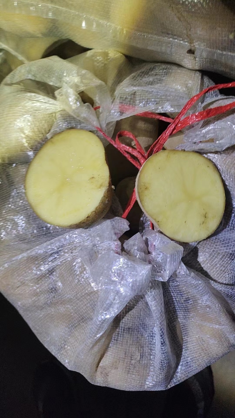 土豆精品荷兰十五土豆现挖现发产地直供一手货源