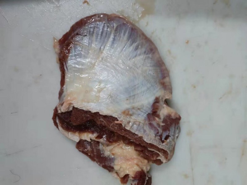 【牛小脸肉-求合作】批发50斤大块牛碎肉牛小脸肉