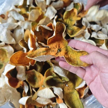 大量供应二红皮，可按需代加工保质保量