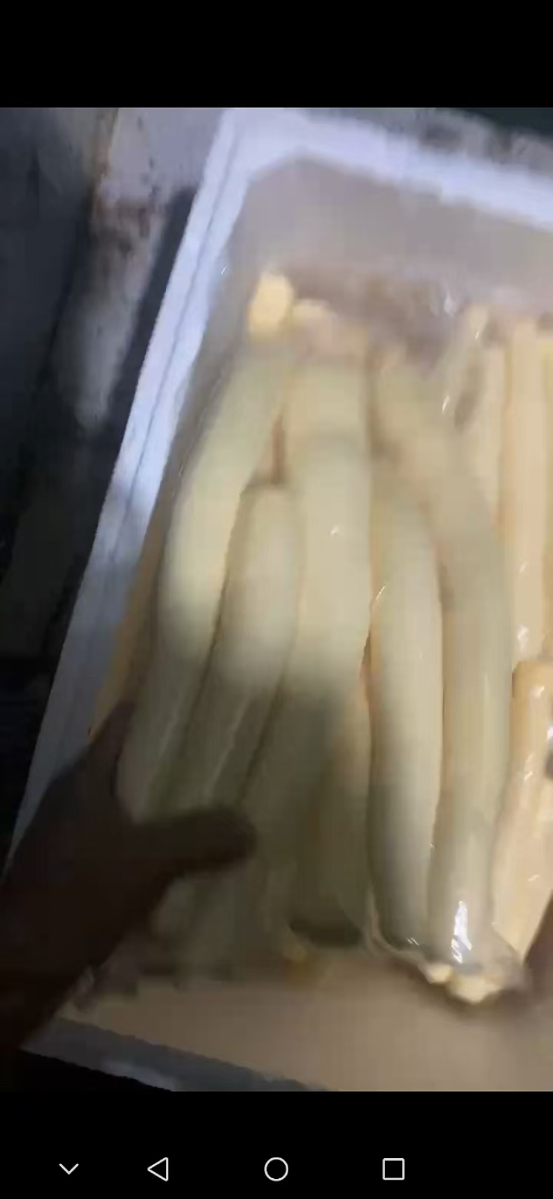 华南9号黄心木薯去皮冷冻