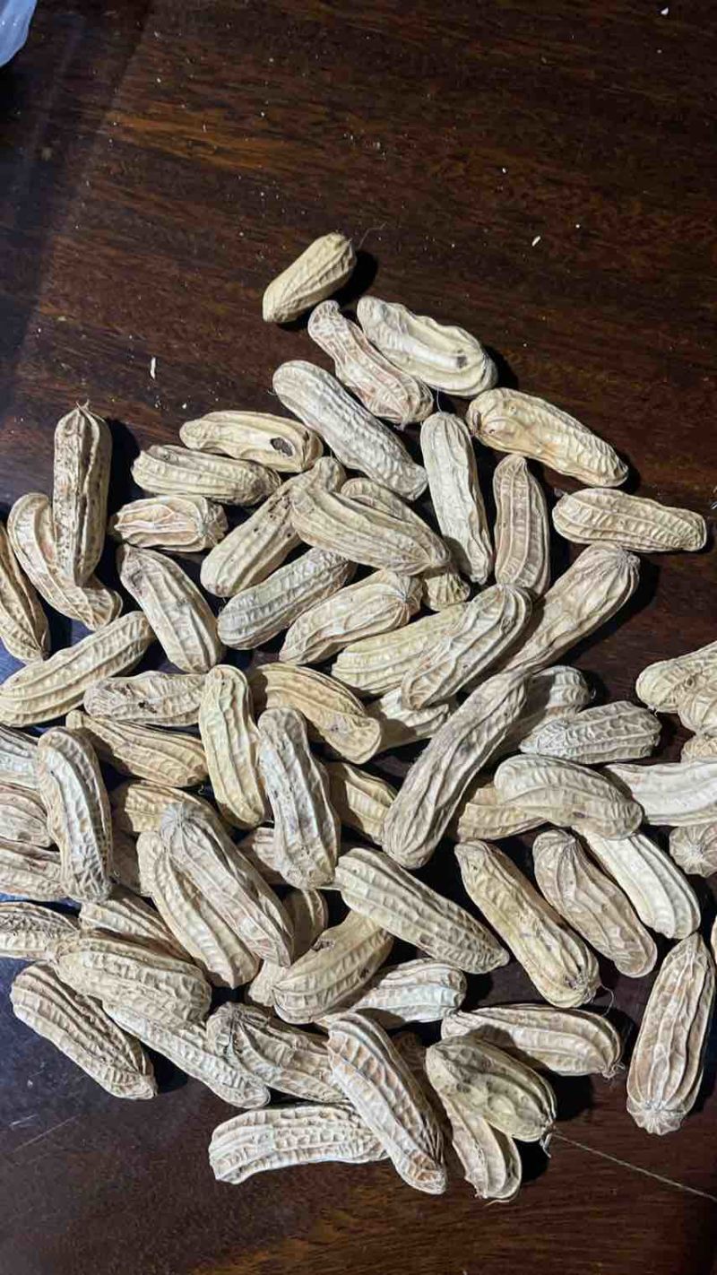 云南七彩花生，花青素含量丰富，奶香味，无科技狠活