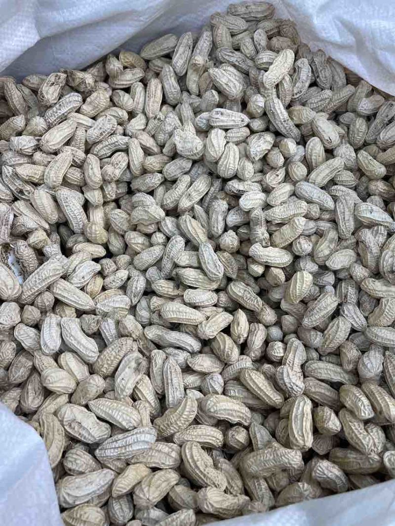 云南七彩花生，花青素含量丰富，奶香味，无科技狠活