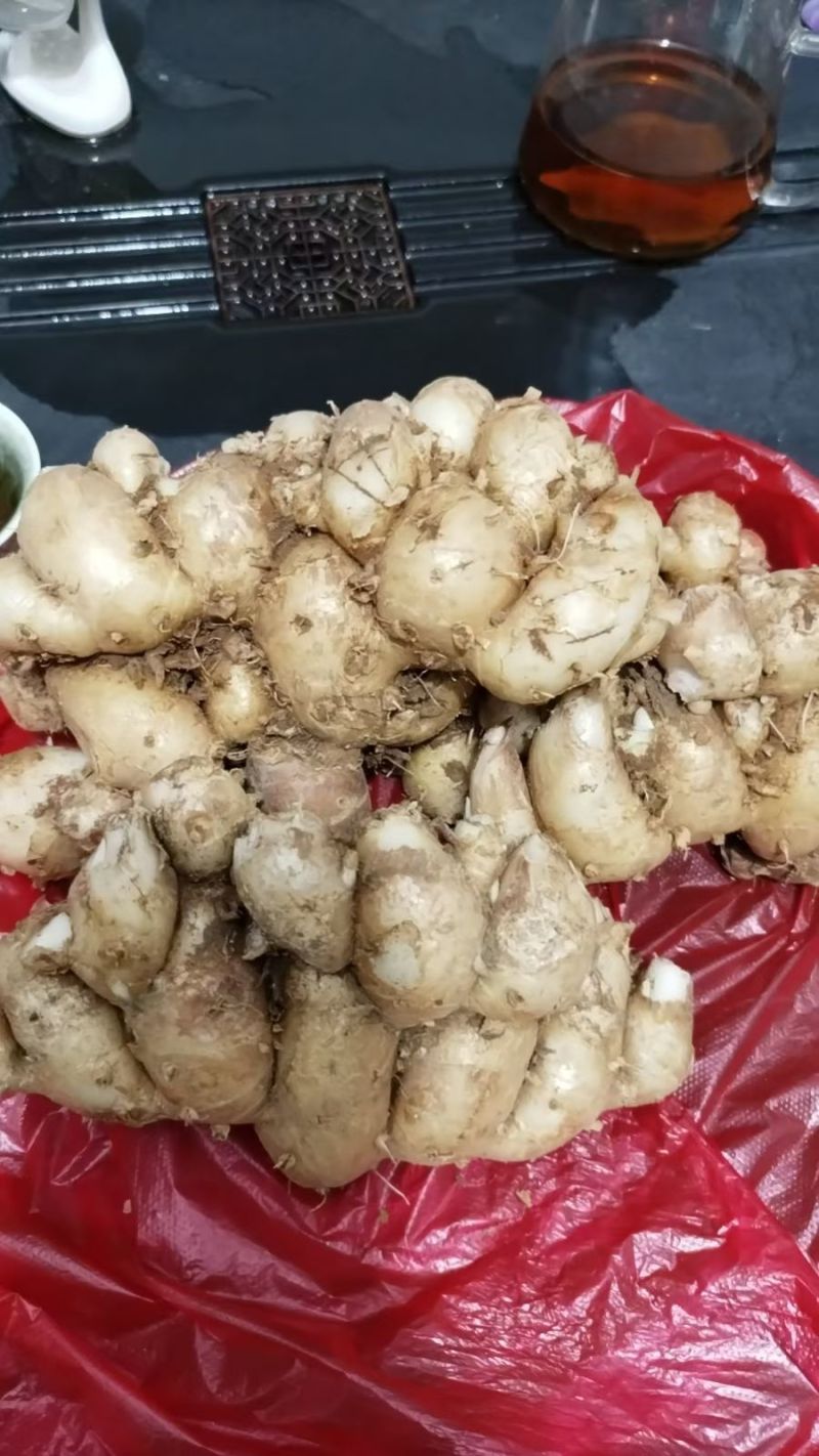 阳春沙姜