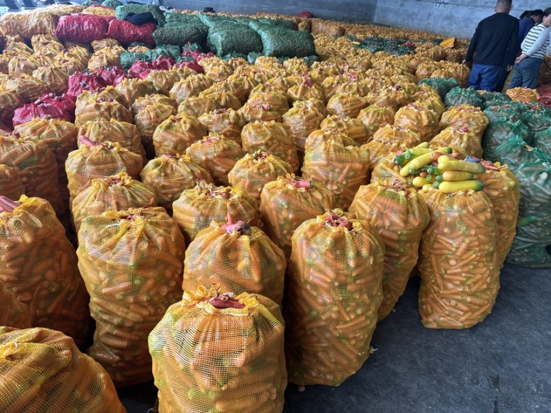 红胡萝卜养殖加工用红萝卜现大量上市价格合理欢迎采购