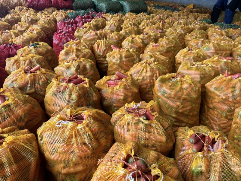 红胡萝卜养殖加工用红萝卜现大量上市价格合理欢迎采购