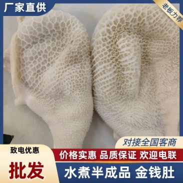 【金钱肚-求合作】批发50斤水煮半成品牛肚金钱肚