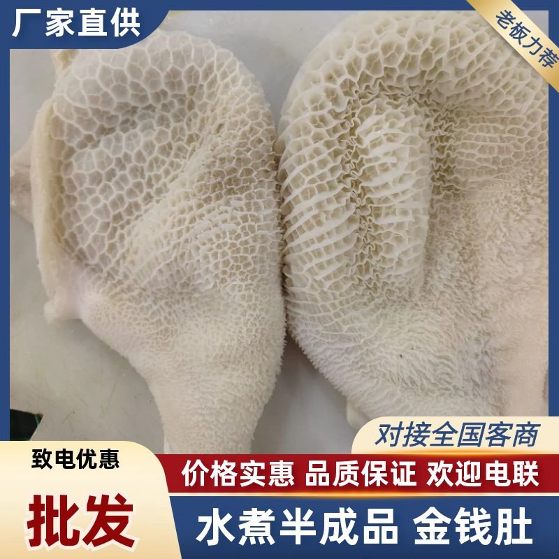 【金钱肚-求合作】批发50斤水煮半成品牛肚金钱肚