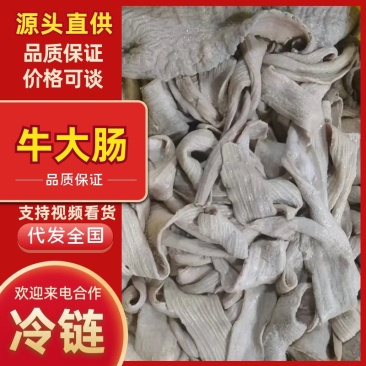 【牛大肠-求合作】批发50斤牛副产品半成品剥开牛大肠