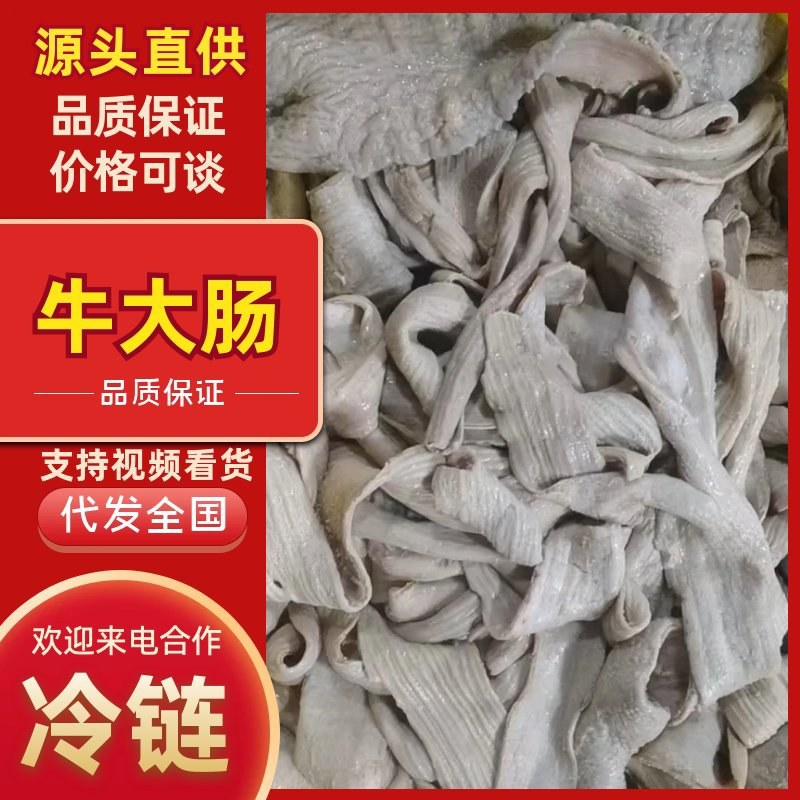 【牛大肠-求合作】批发50斤牛副产品半成品剥开牛大肠
