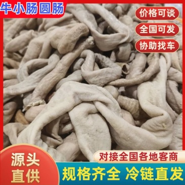 【牛小肠-求合作】批发50斤牛副产品半成品牛小肠圆肠