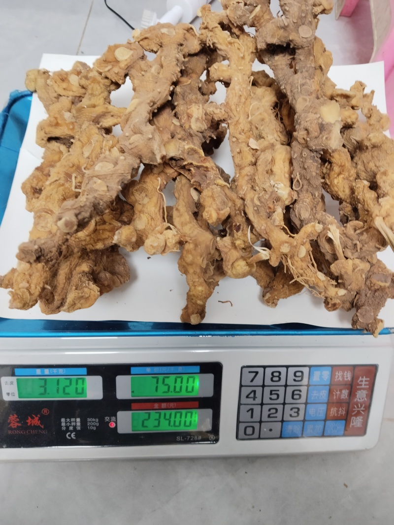 长条黄精(大量批发)
