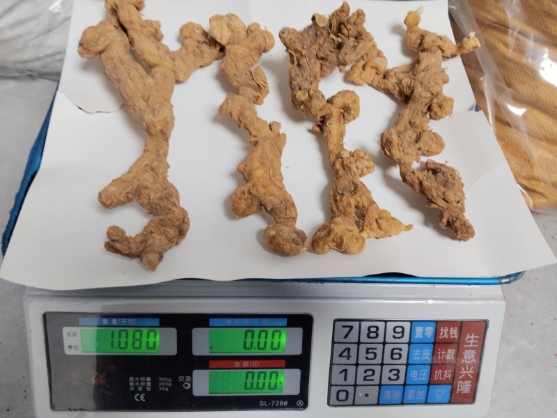 长条黄精(大量批发)