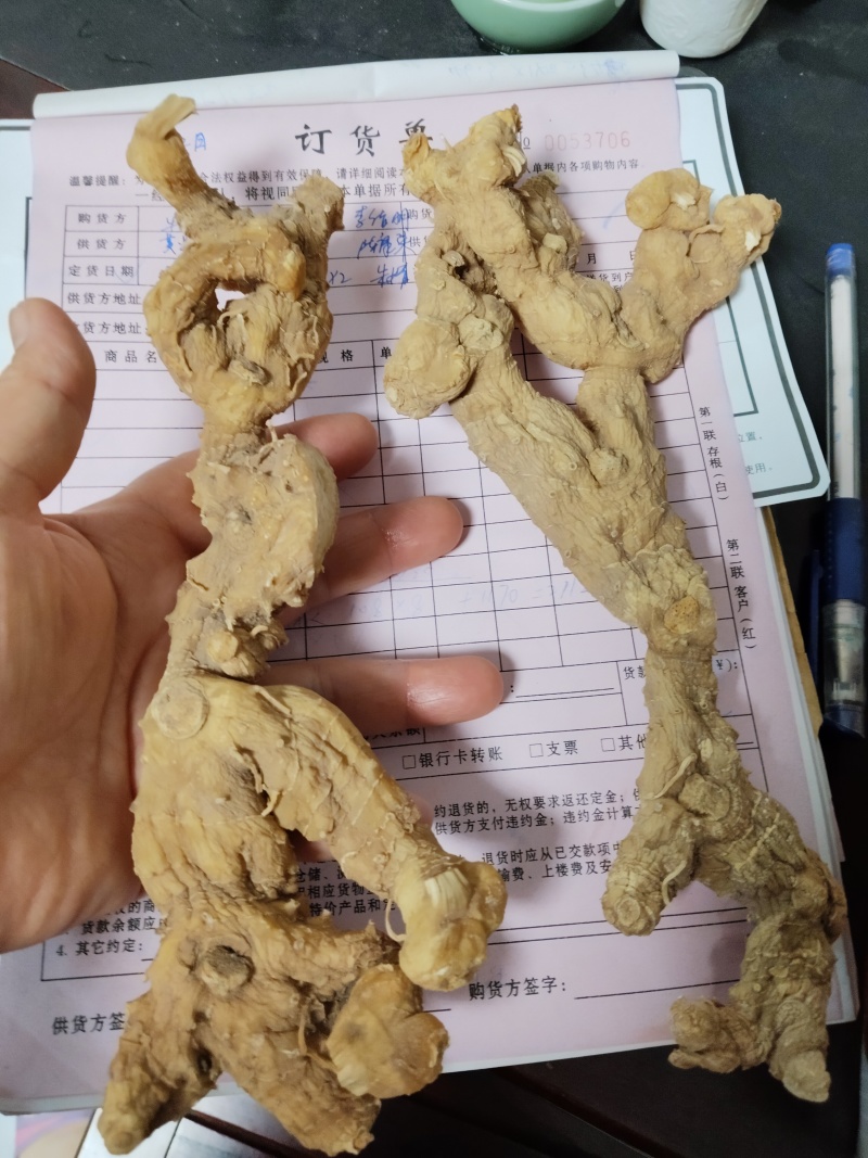 长条黄精(大量批发)