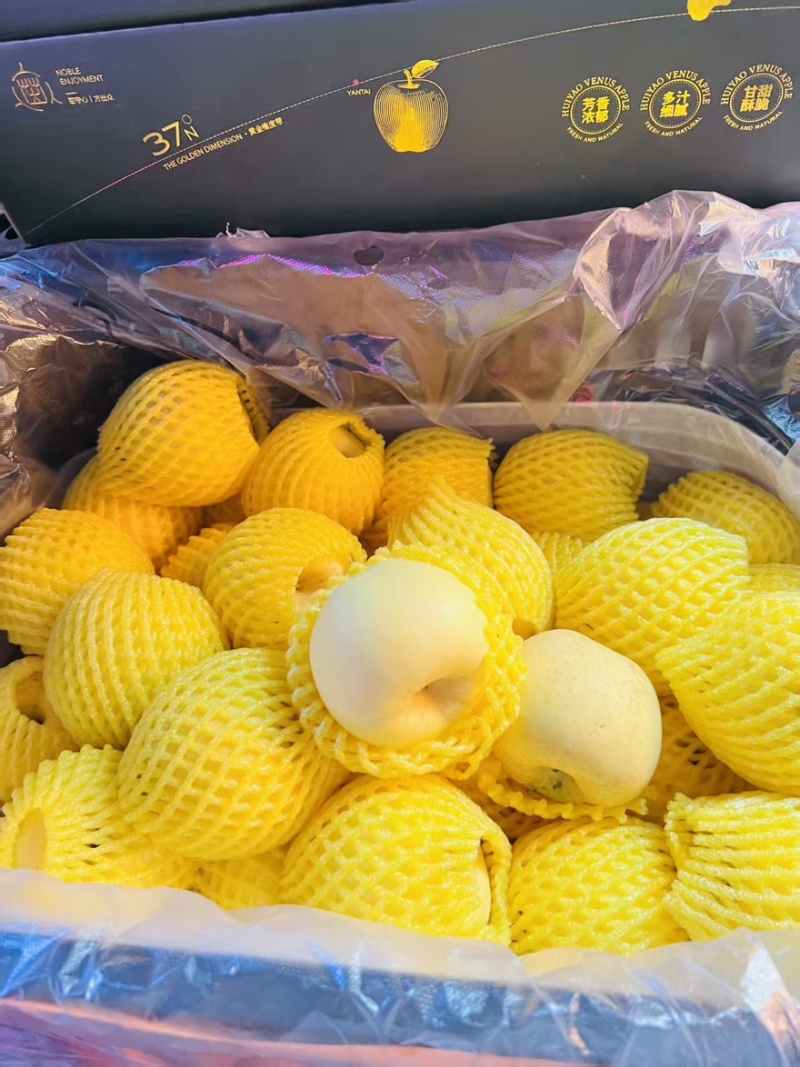 精品黄金维纳斯苹果，产地直发！