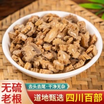 野生百部中药材无硫百条根新货草阴虱百部酊正品质量