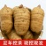 贵州生鲜乌天麻