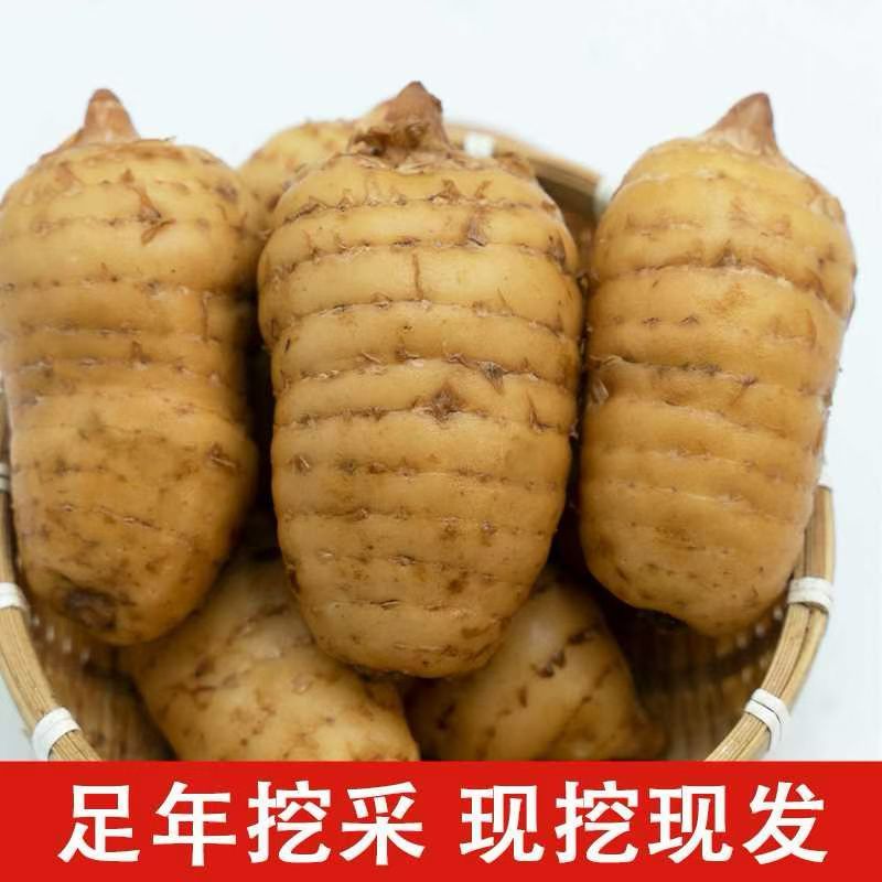 贵州生鲜乌天麻