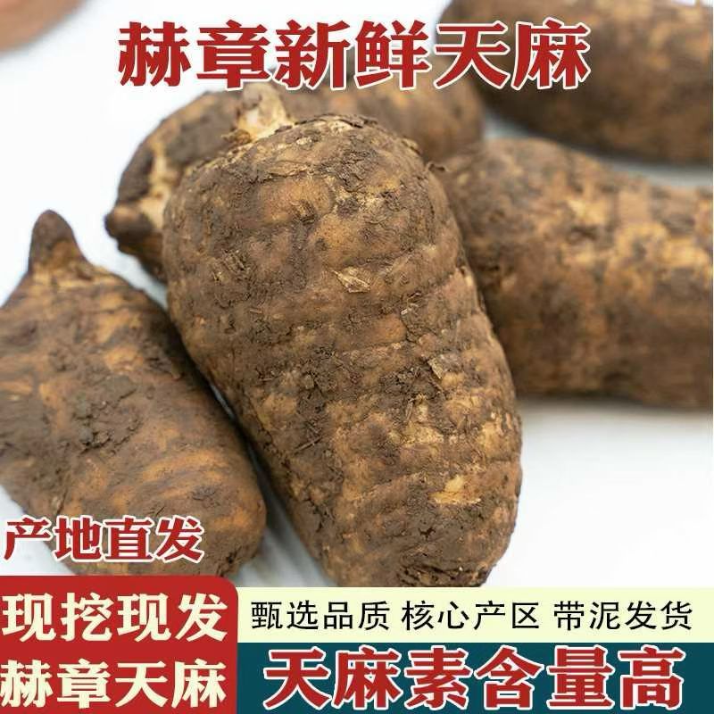 贵州生鲜乌天麻