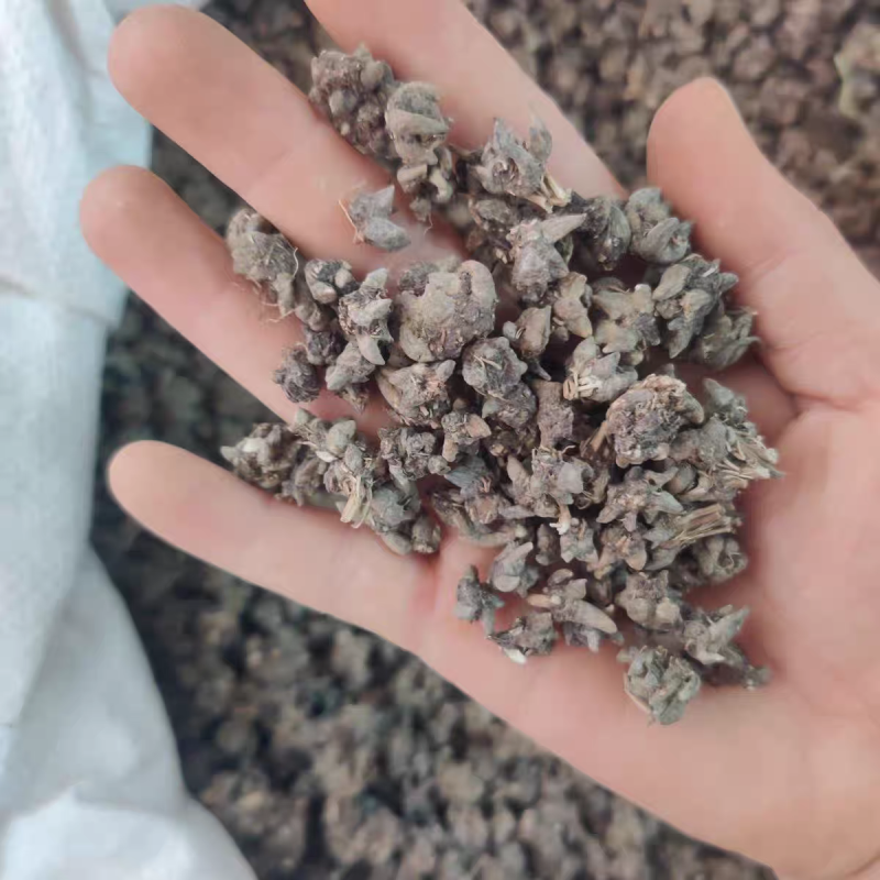 包邮野生猫爪草精品水洗猫爪草中药材干净无杂质