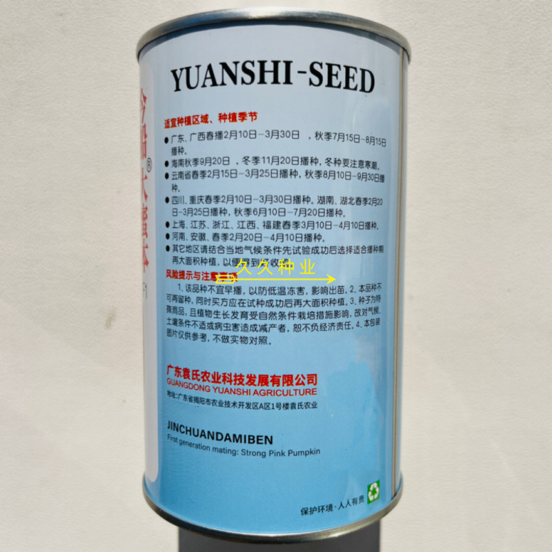 今船大蜜本南瓜种子抗病杂交中晚熟粉糯南瓜种籽大田基地播种