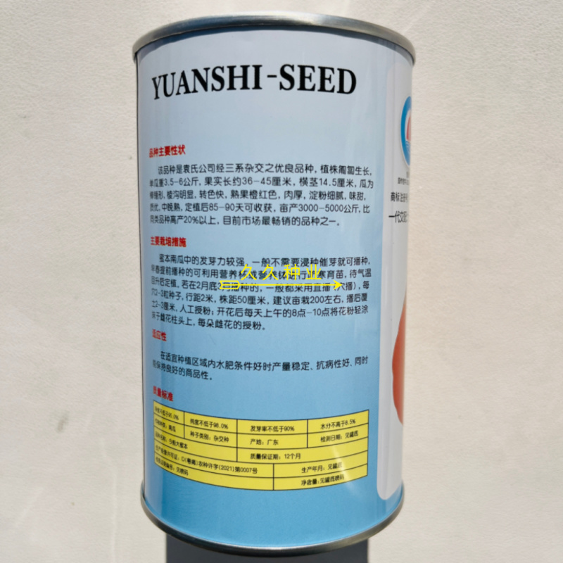 今船大蜜本南瓜种子抗病杂交中晚熟粉糯南瓜种籽大田基地播种