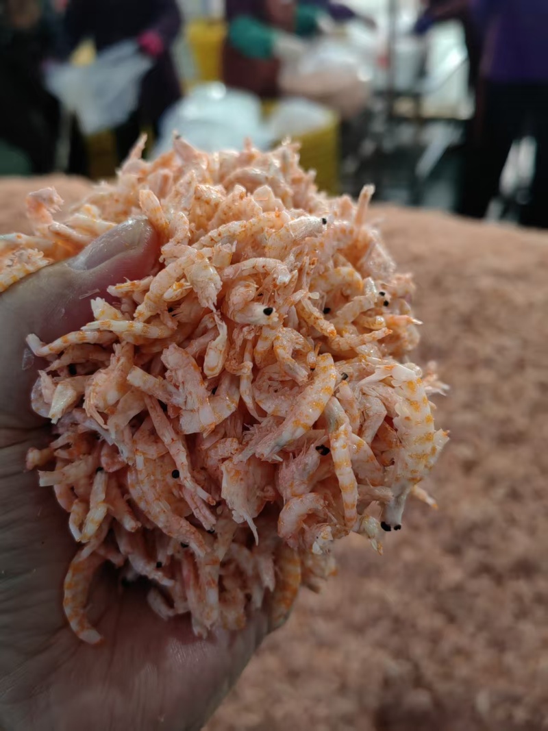 跑江湖展会地摊深海八成干磷虾米大连湾籽虾干虾米虾皮