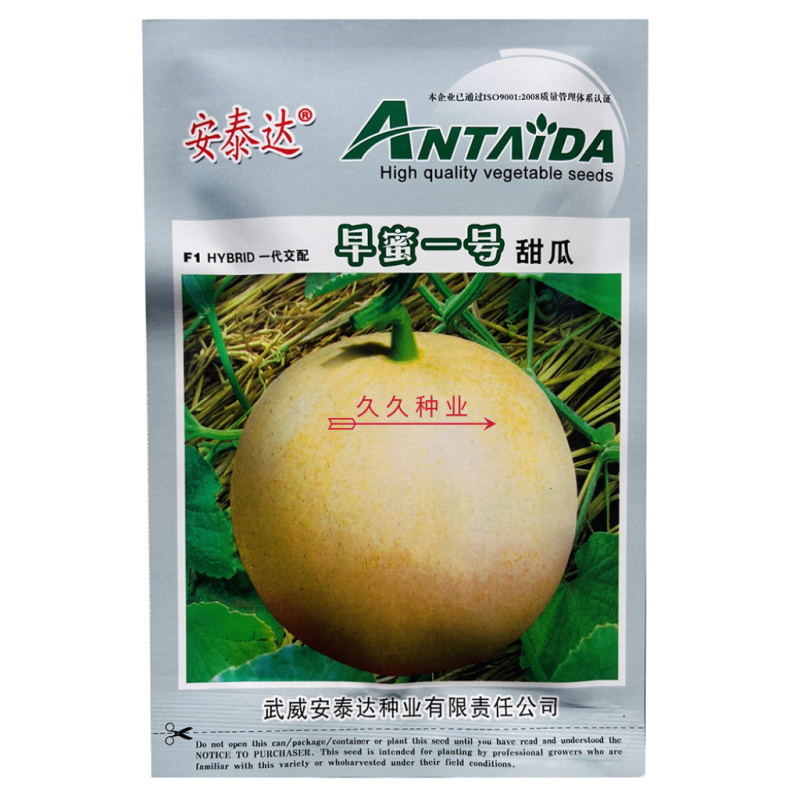 早蜜一号甜瓜种子中早熟肉细汁高糖甜脆香白皮瓜种籽农家水果