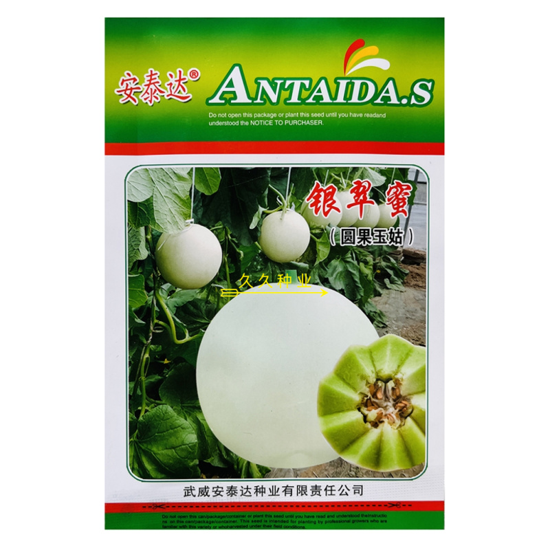 银翠蜜圆果玉菇甜瓜种子口感好高糖绿肉高产抗病春季播种