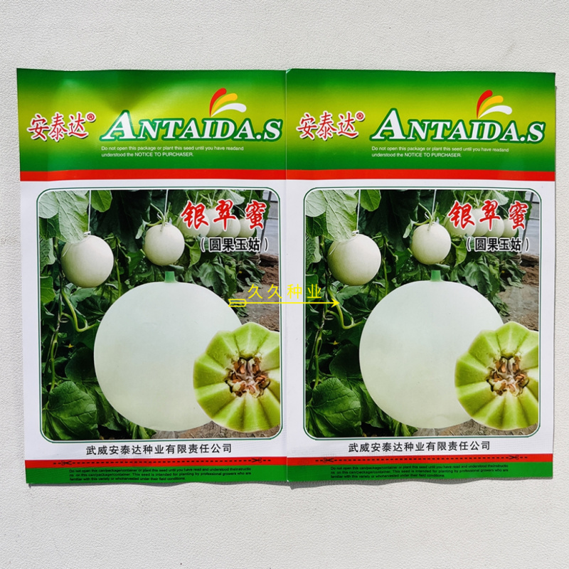 银翠蜜圆果玉菇甜瓜种子口感好高糖绿肉高产抗病春季播种