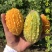 癞葡萄小癞瓜种子肉质香甜结果多农家菜园四季阳台盆栽蔬菜
