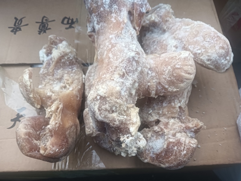 牛肠，熟牛子肠，一件代发，量大从优，欢迎您的光临！