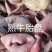 牛肠，熟牛子肠，一件代发，量大从优，欢迎您的光临！